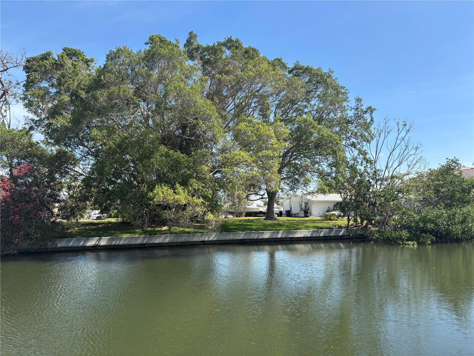 4417 Dolphin Ln Property Photo 1