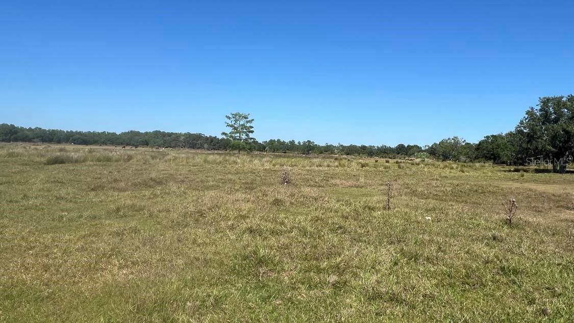 45855 Clay Gully Rd Property Photo