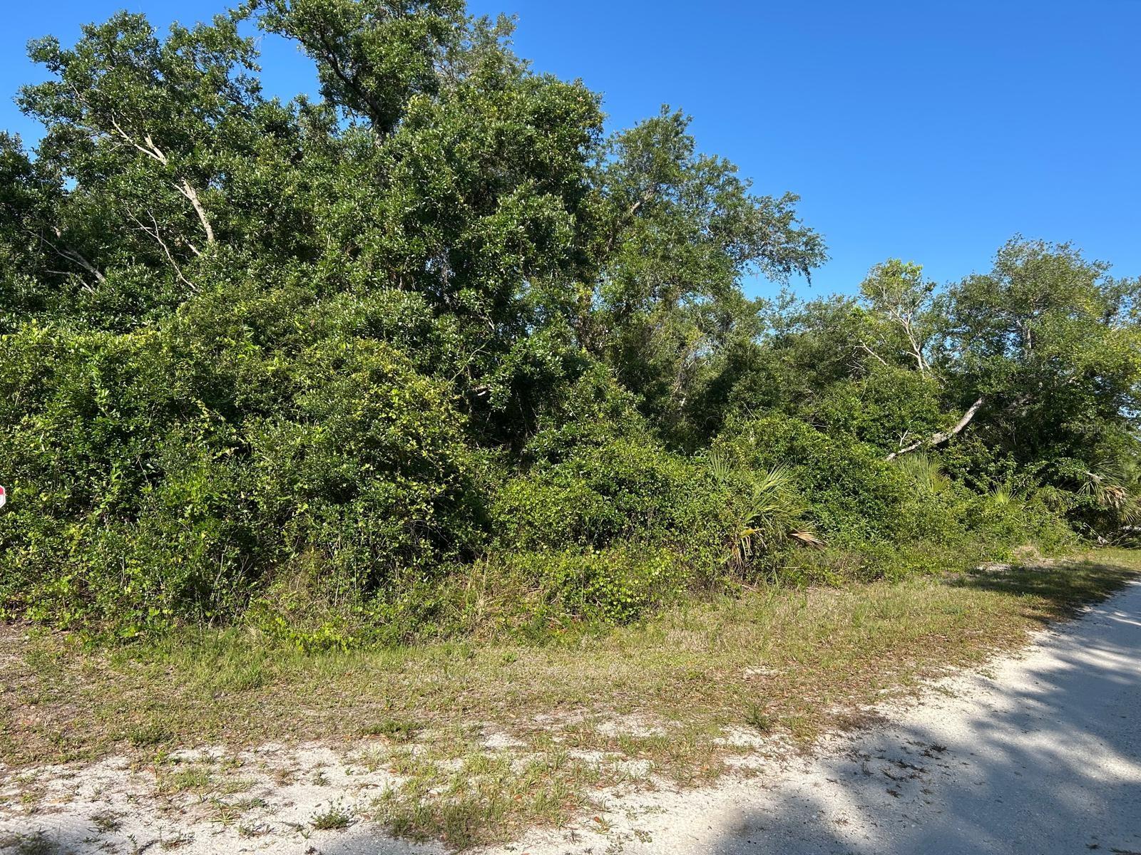 1390 Hillary Ter Property Photo