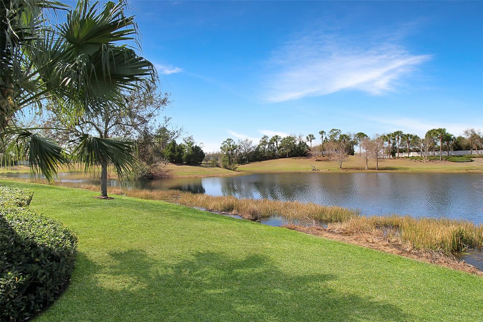 5336 Vaccaro Ct Property Photo 6