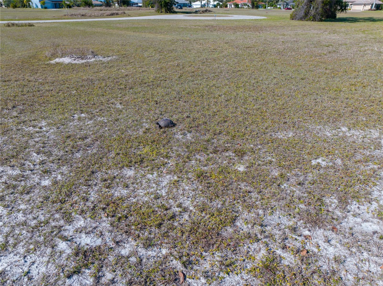 17154 Sugar Ct Property Photo 2