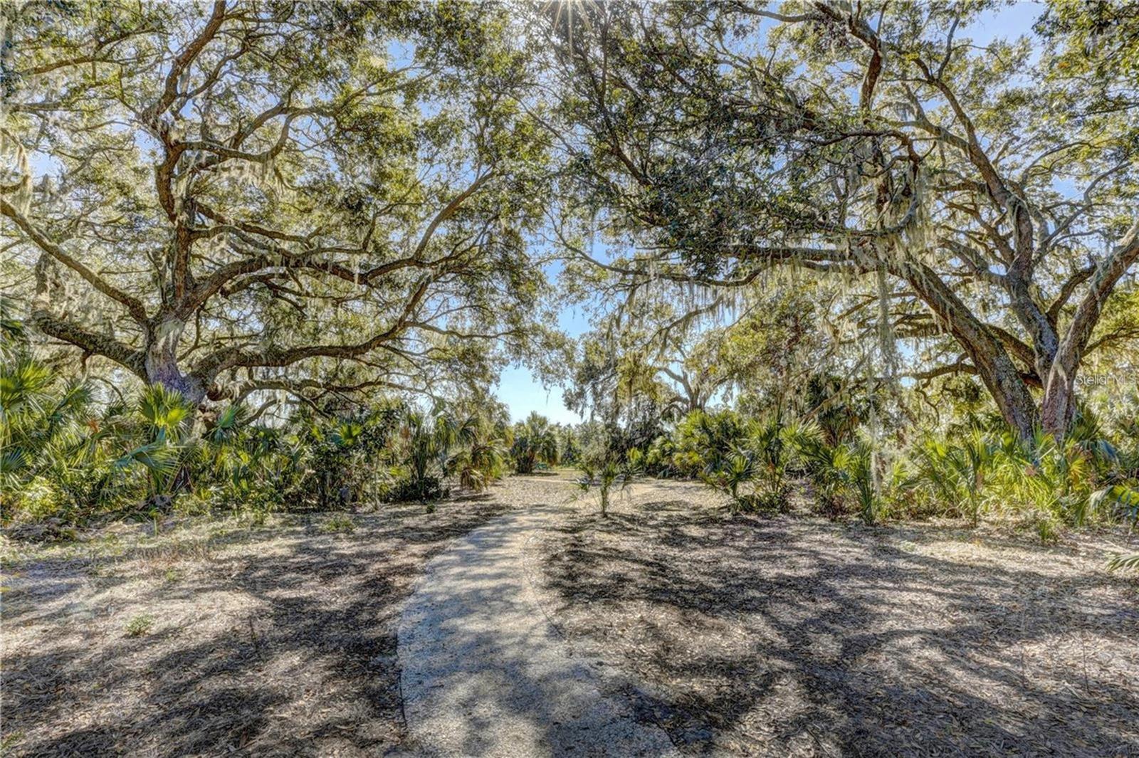 9725 Last Light Gln Property Photo 40