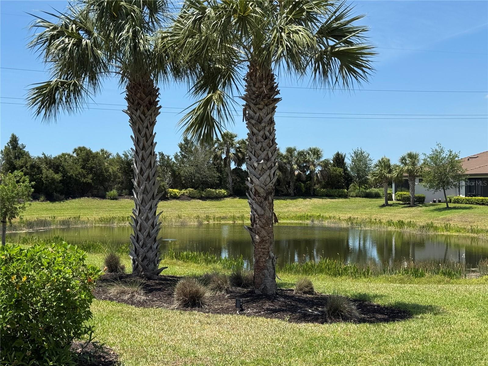 12291 Myrtle Bay Ct Property Photo 6