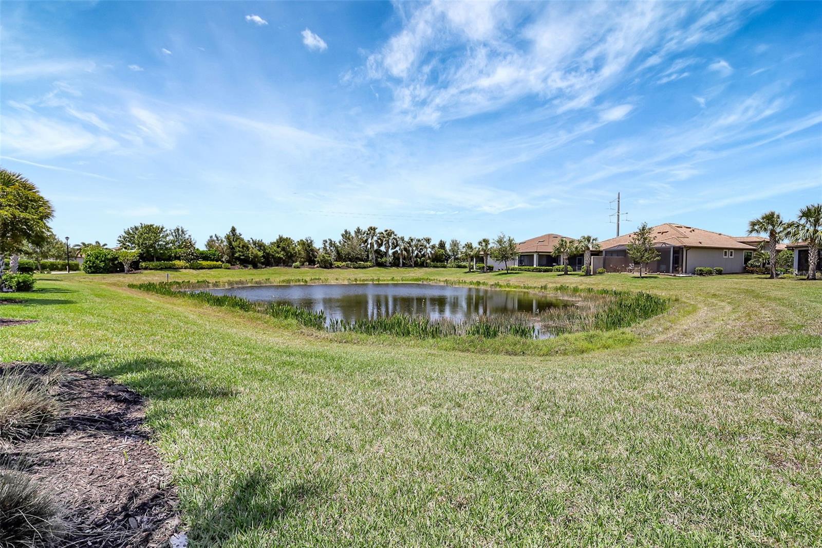 12291 Myrtle Bay Ct Property Photo 42