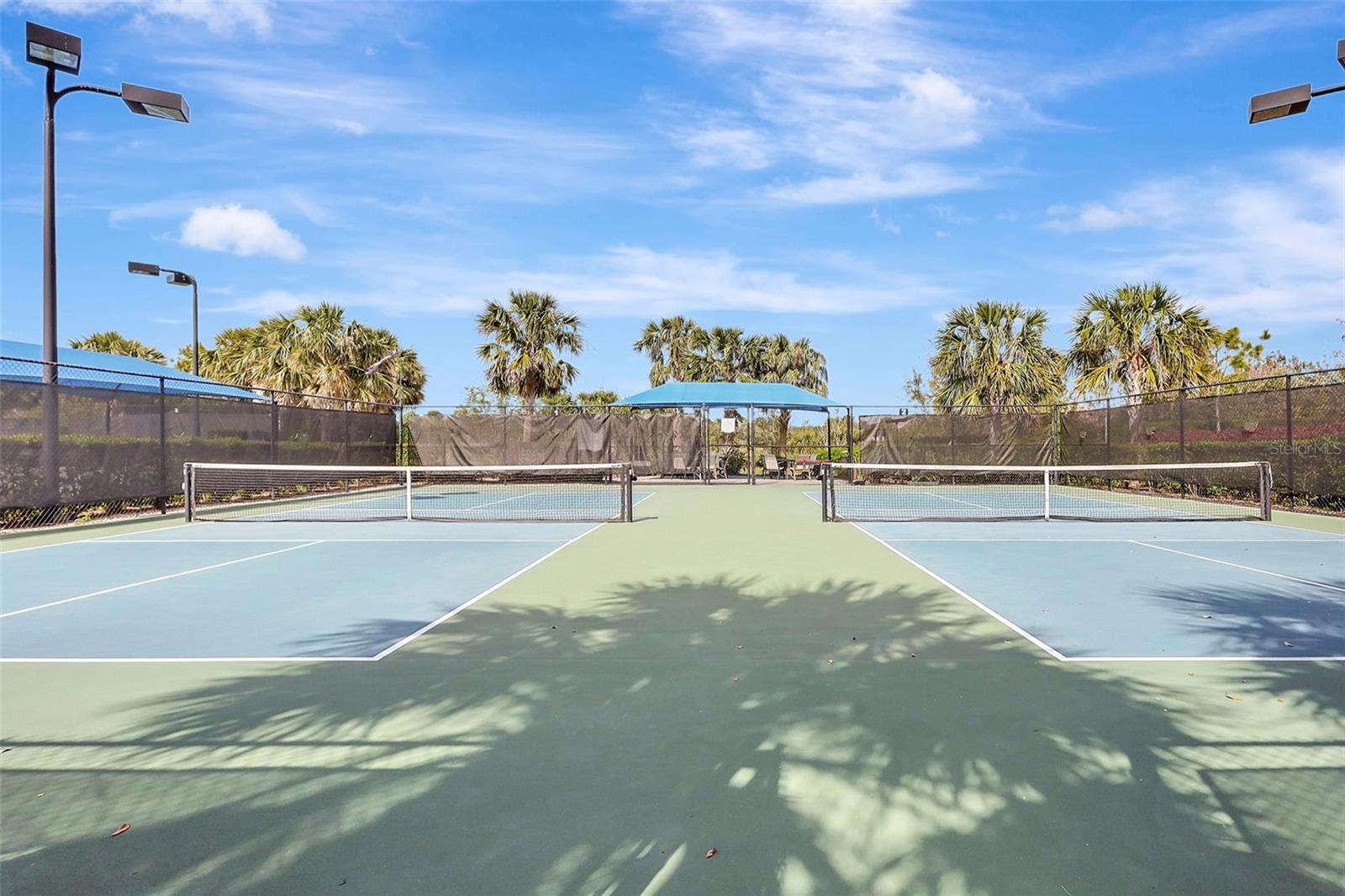 12291 Myrtle Bay Ct Property Photo 45