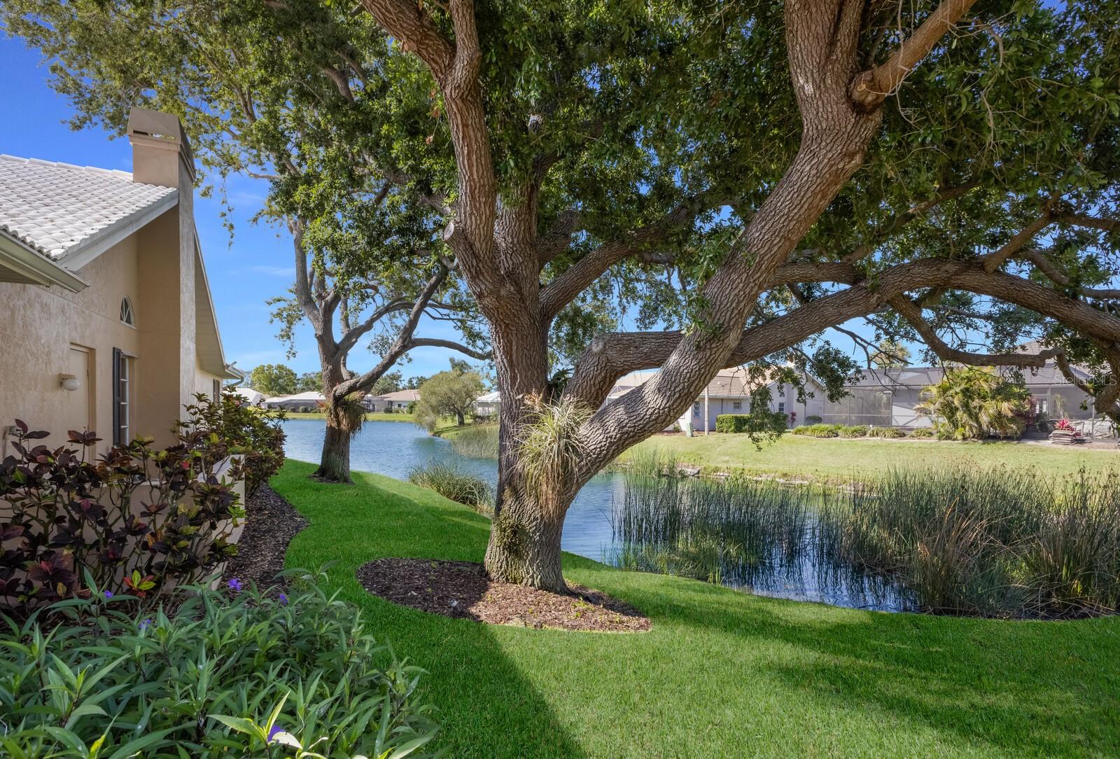 1447 Gleneagles Dr Property Photo 4