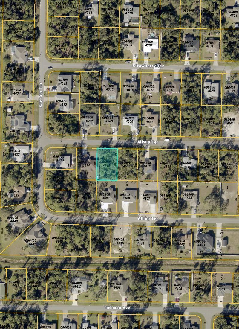 Allsup Ter Property Photo 4