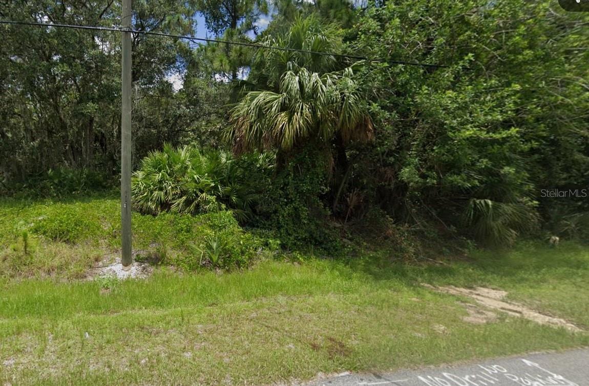 Pesola Ter Property Photo 2