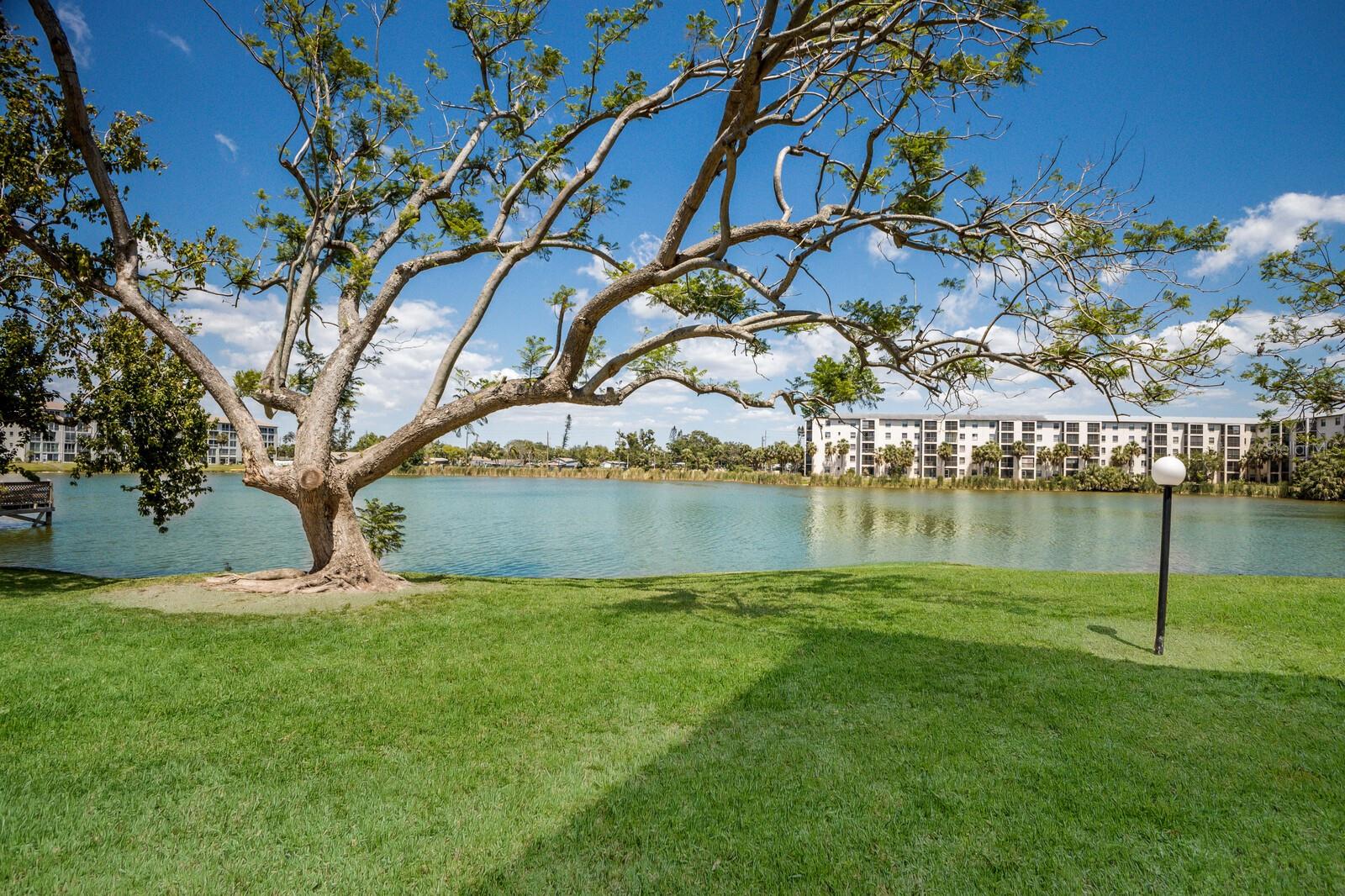 4015 Lake Bayshore Dr #108 Property Photo 25