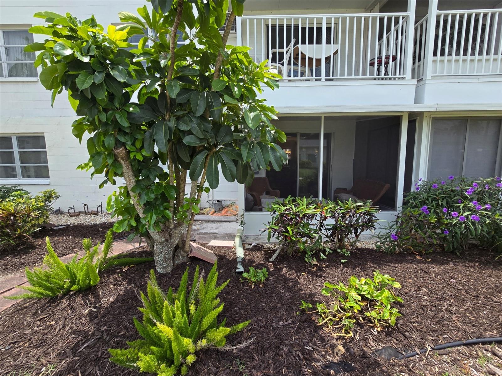 2207 SUNSET DR #E5 Property Photo 1