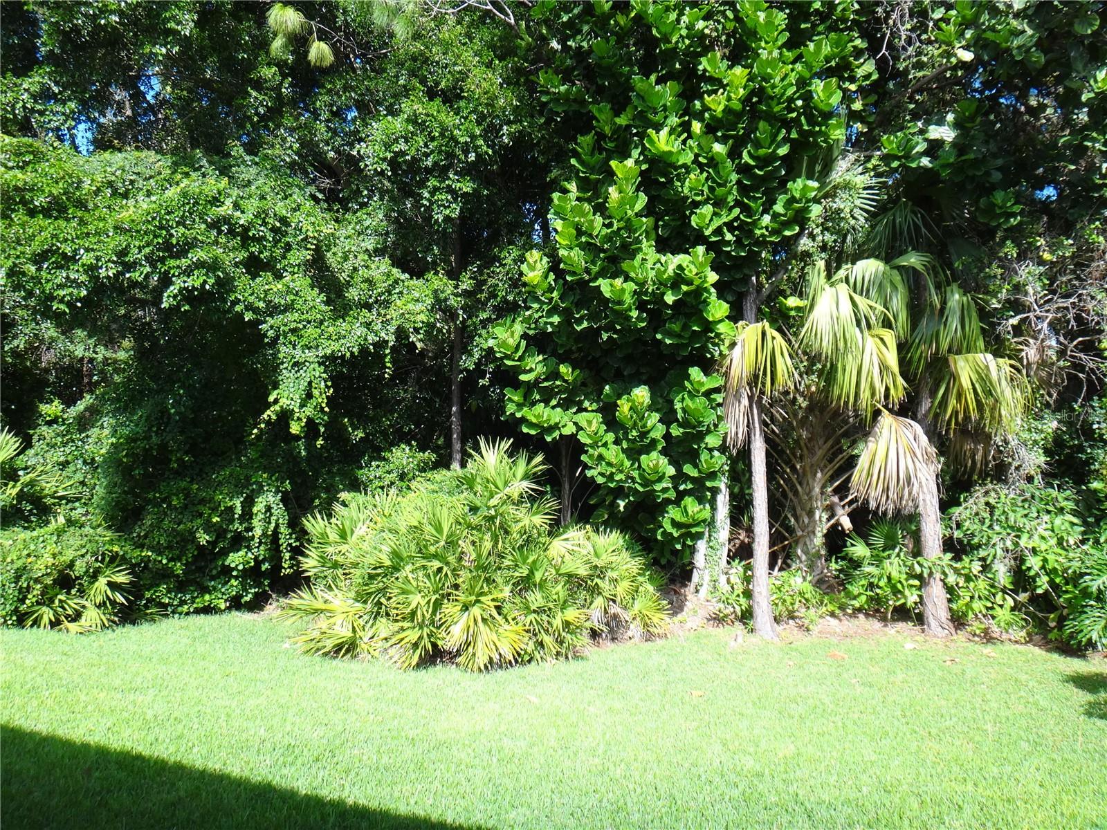 A4651645 Property Photo 22