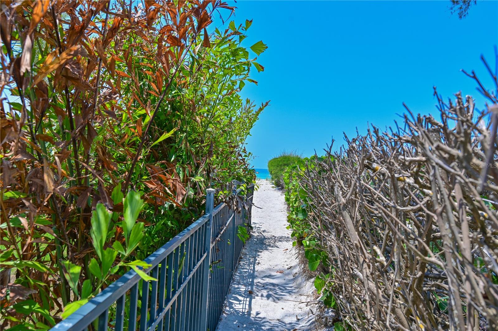 5924 Gulf Of Mexico Dr Property Photo 34