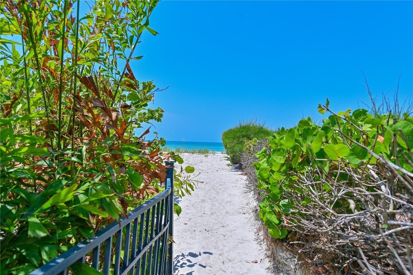 5924 Gulf Of Mexico Dr Property Photo 35