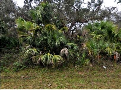 Babroff Ter Property Photo 1