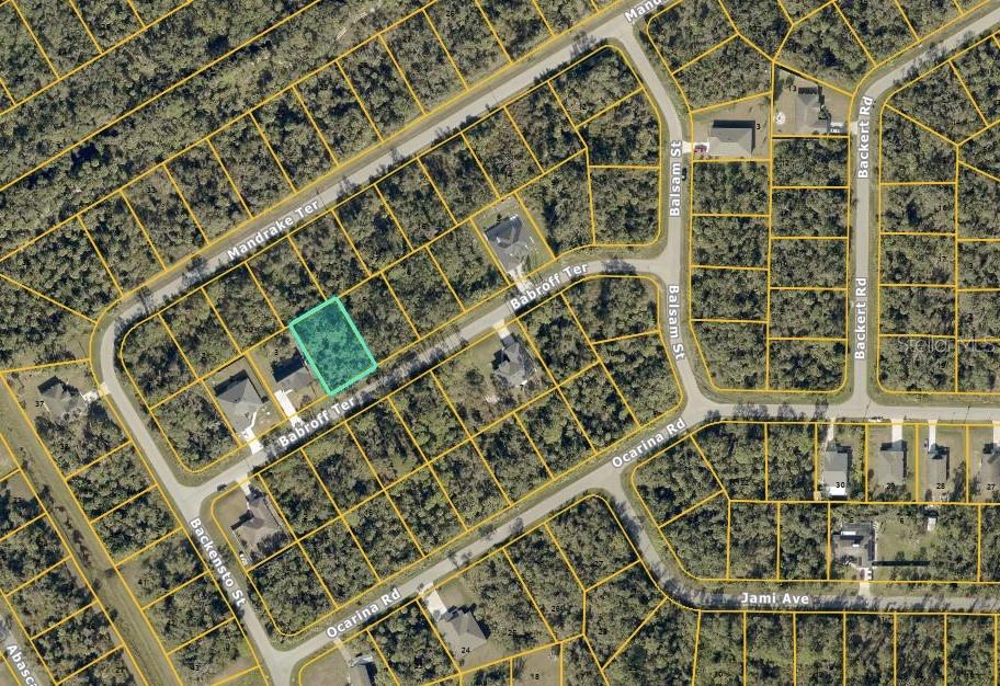 Babroff Ter Property Photo 2