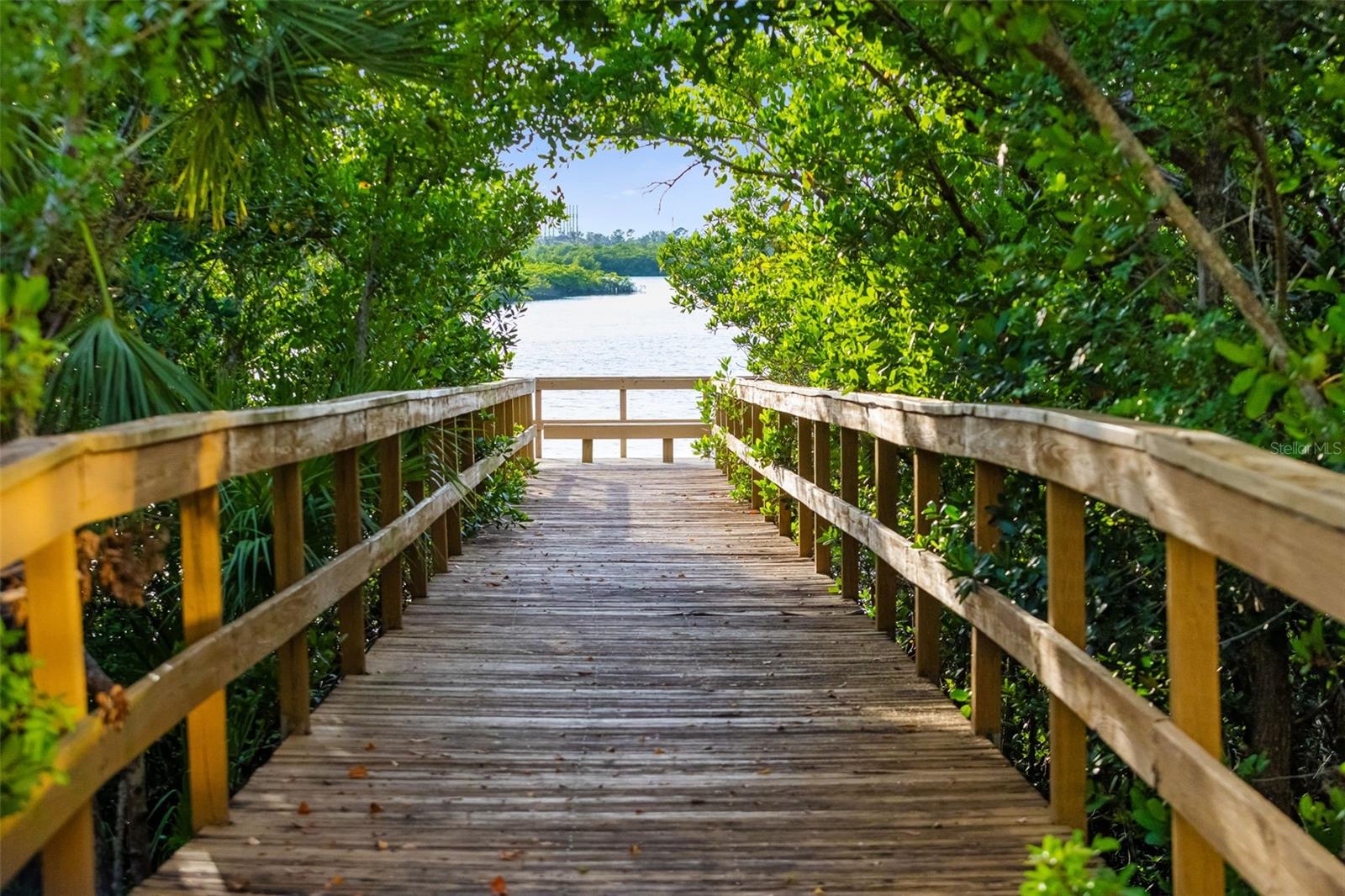 661 Foggy Morn Ln Property Photo 54