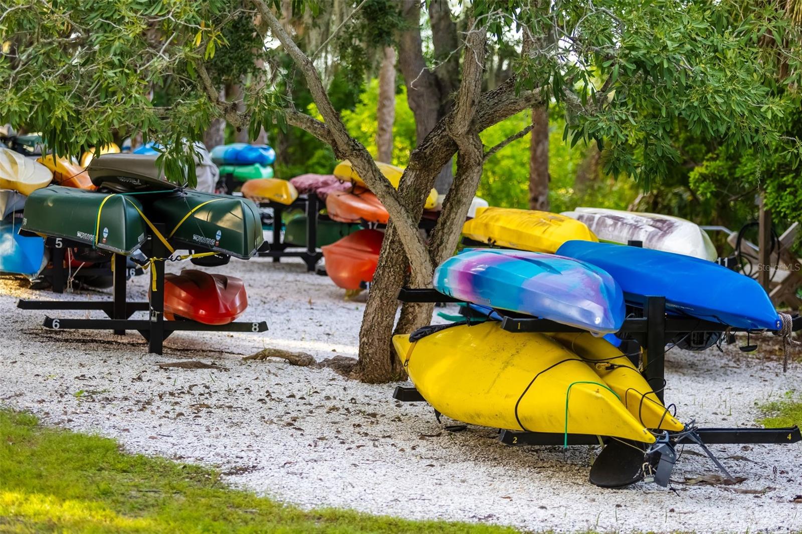 661 Foggy Morn Ln Property Photo 55