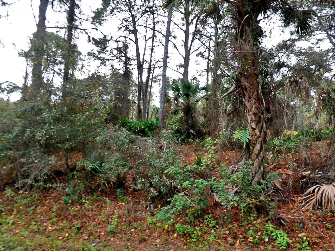 LADY SLIPPER AVE. Property Photo 1