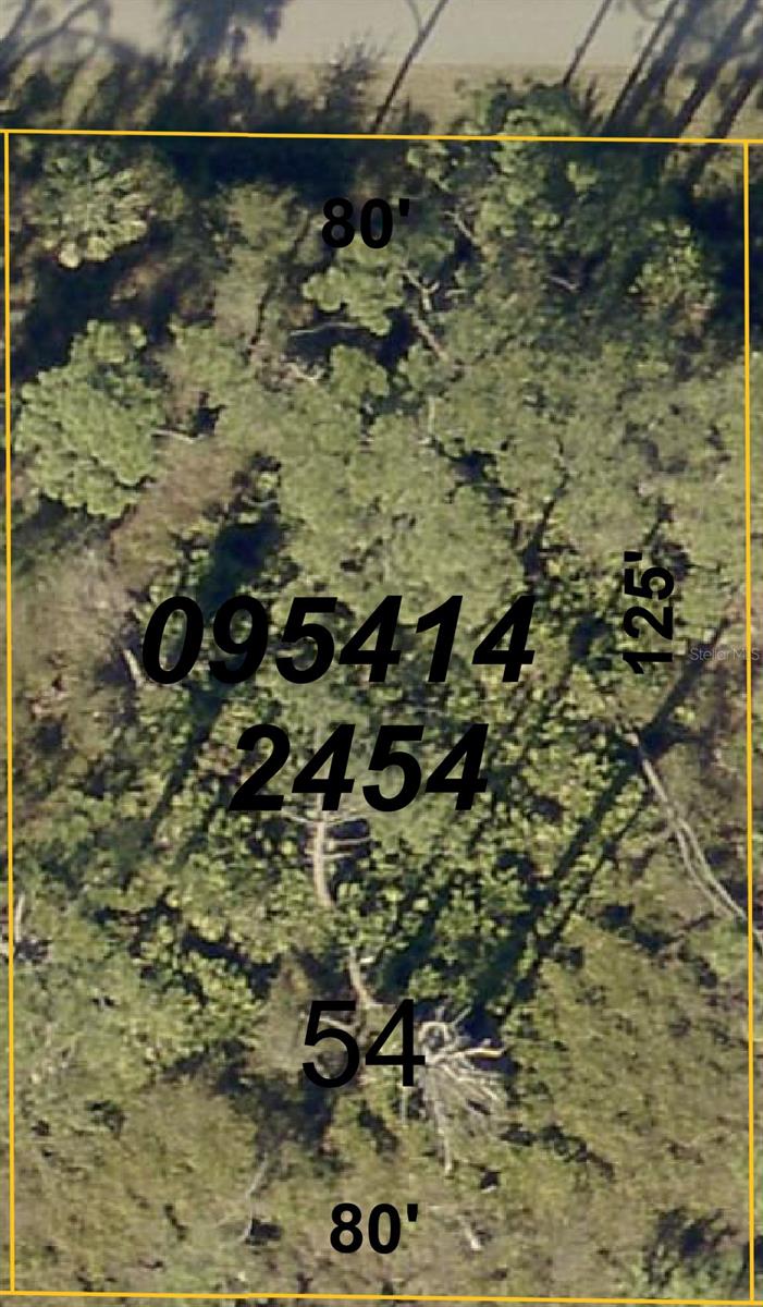 Lady Slipper Ave. Property Photo 2
