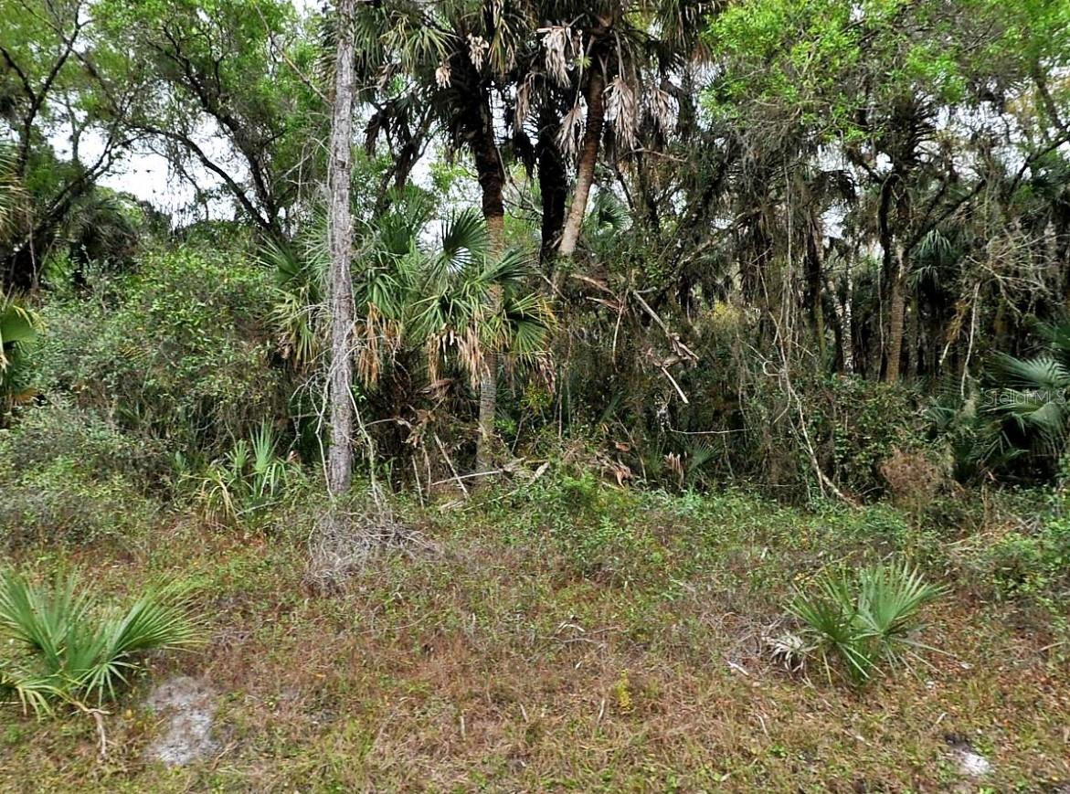 HURDLE RD. Property Photo 1