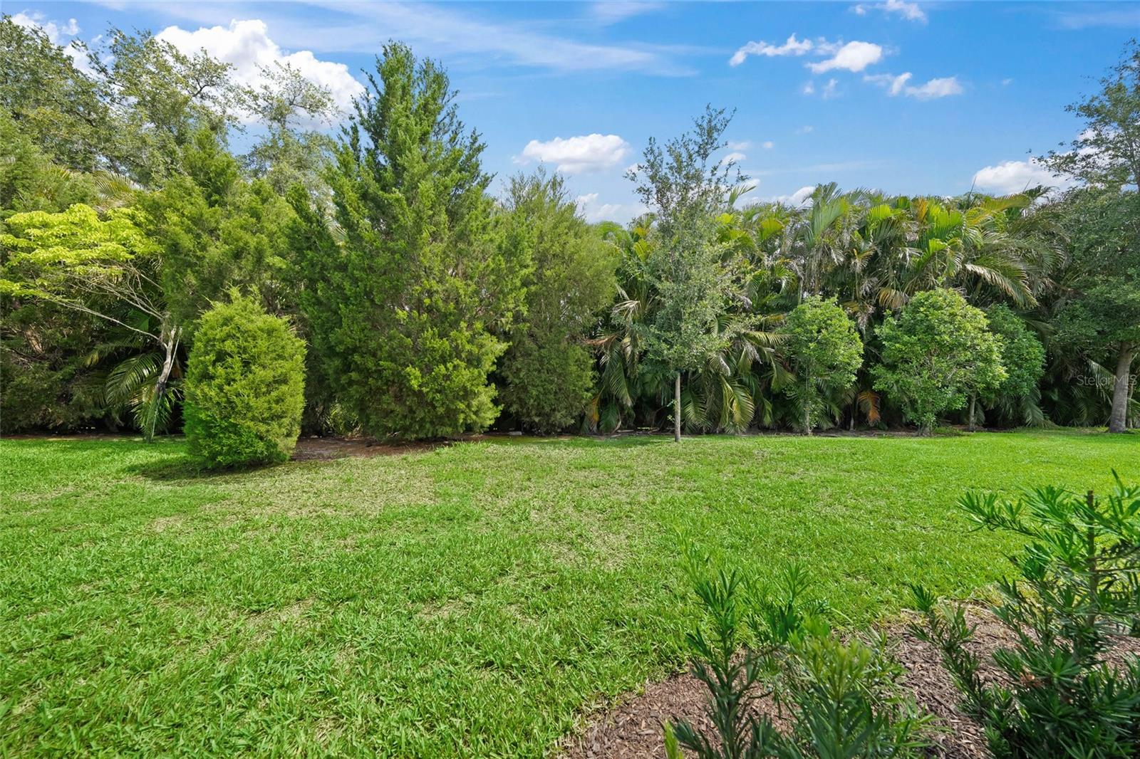 7717 Sandhill Lake Dr Property Photo 5