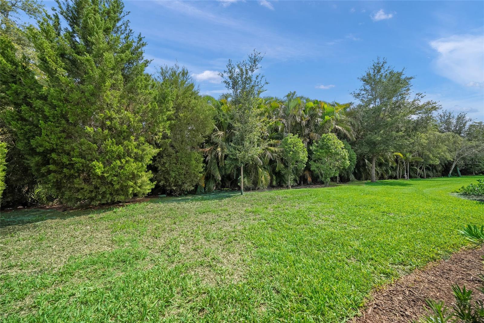 7717 Sandhill Lake Dr Property Photo 43