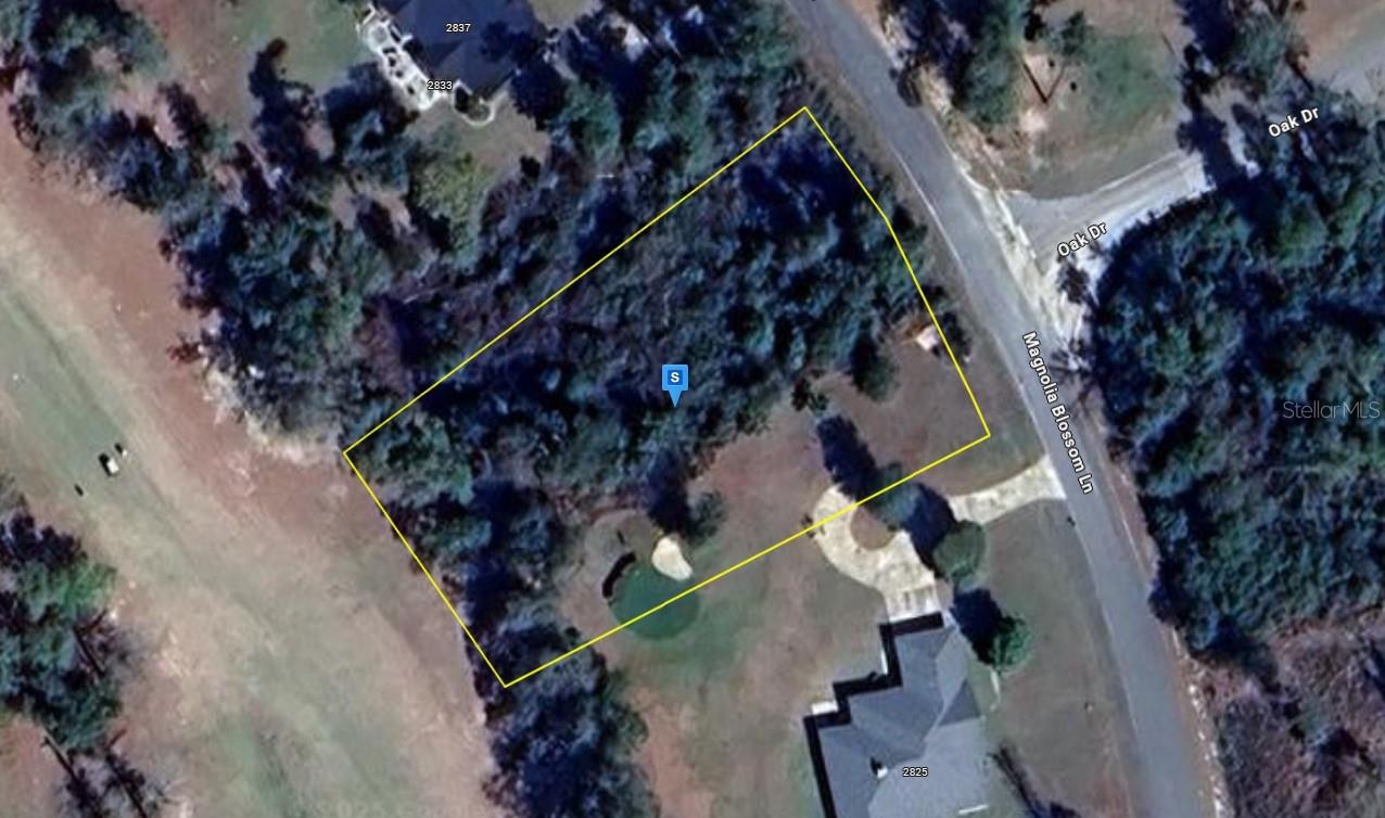 2829 Magnolia Blossom Ln Property Photo 1