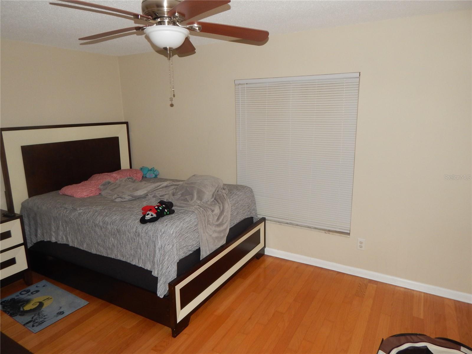 3509 Lisa Ln Property Photo 9