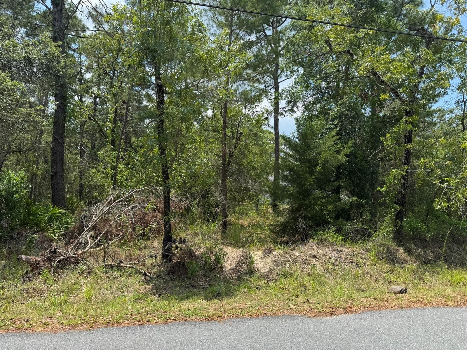 Lot 62 Michigan Ave Property Photo 1