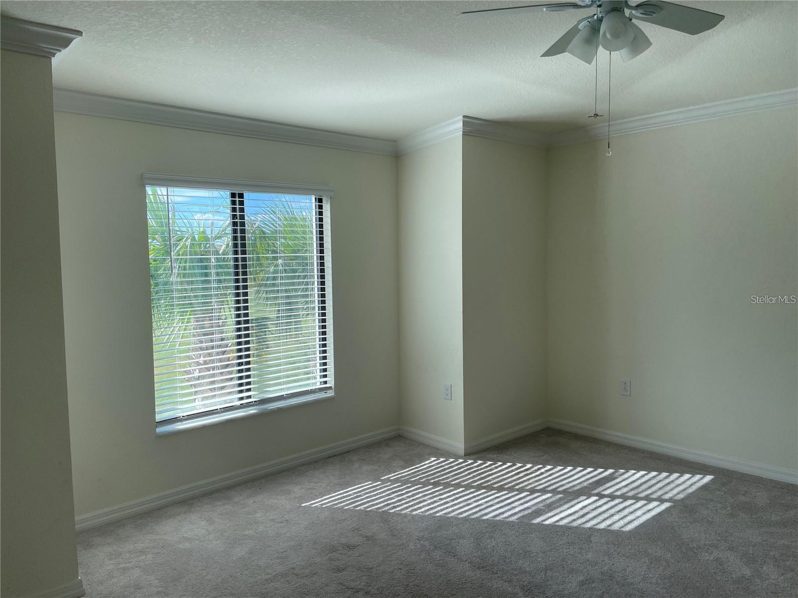 5674 Palmer Cir #206 Property Photo 11