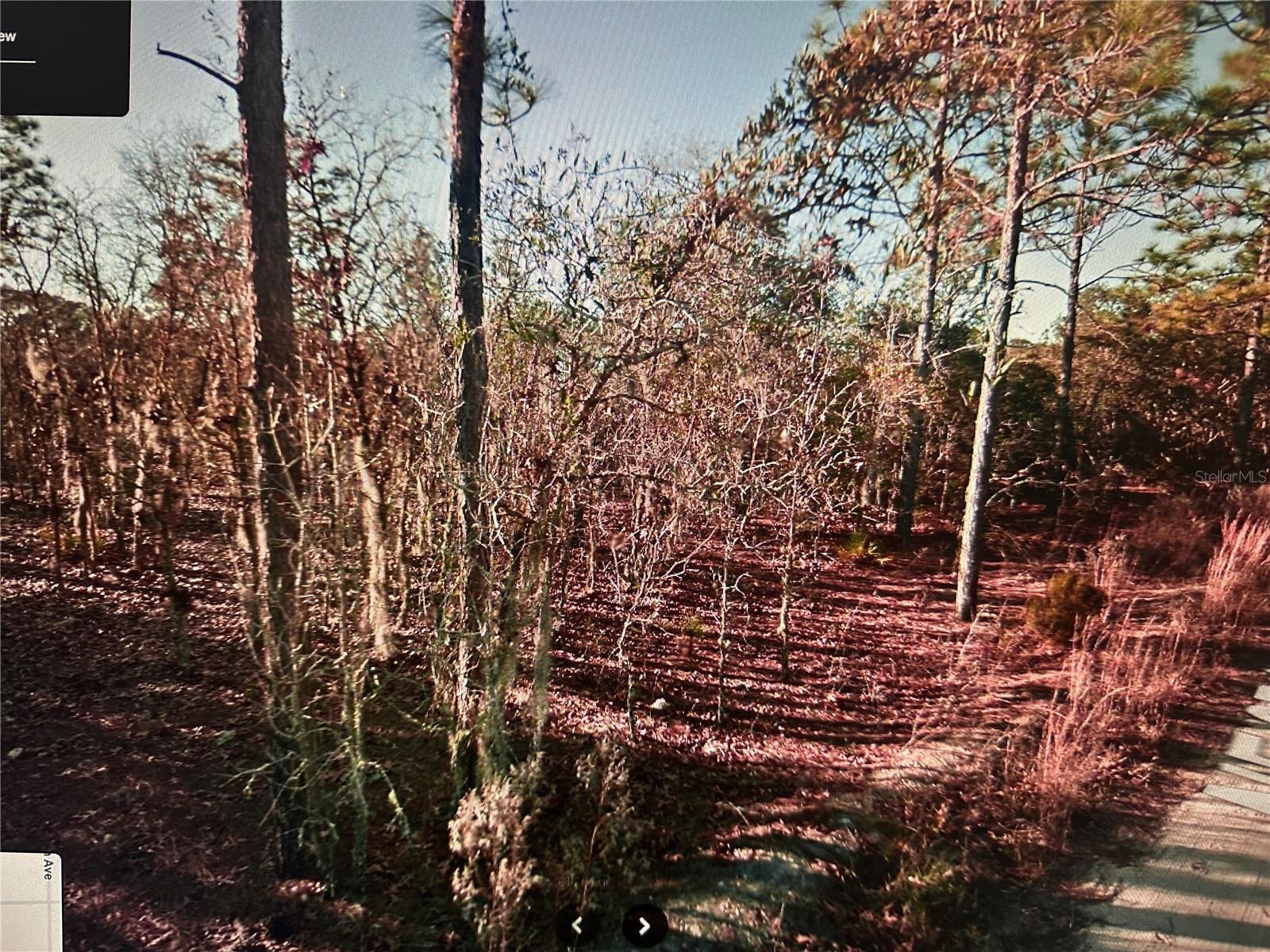 Tbd Ne 97th Court Property Photo 2