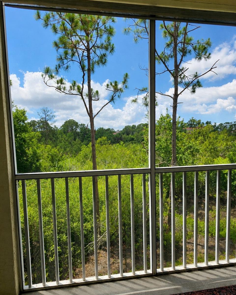 5711 Bentgrass Dr #19-203 Property Photo 17