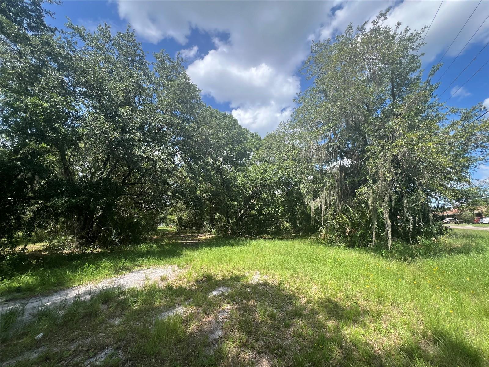 1308 E Alsobrook St Property Photo 10