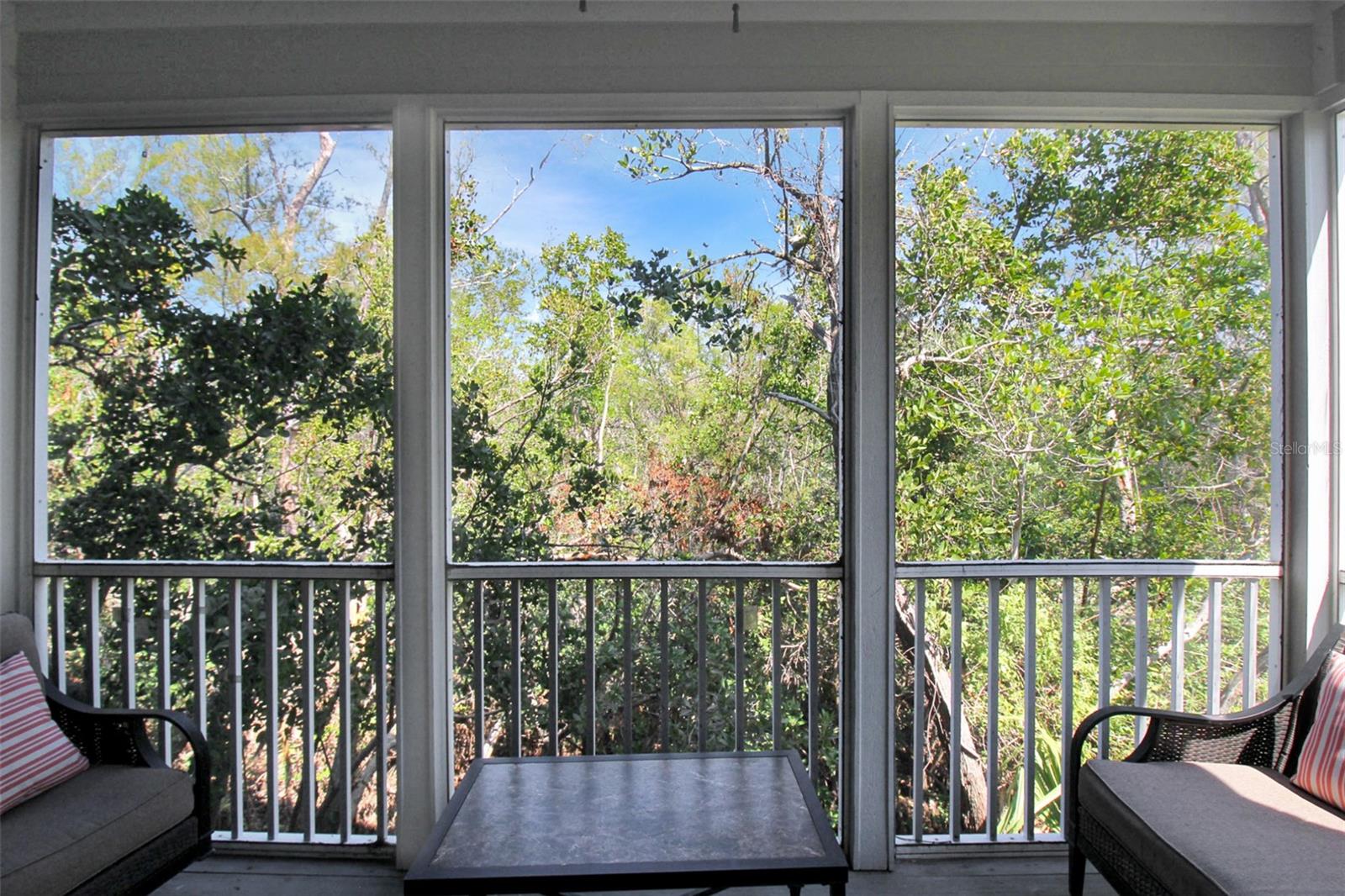 535 Forest Way Property Photo 11