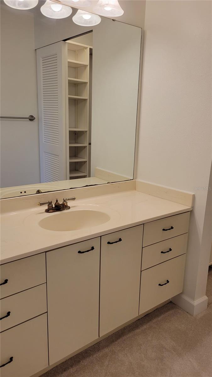 3120 Ringwood Meadow Rd #39 Property Photo 19