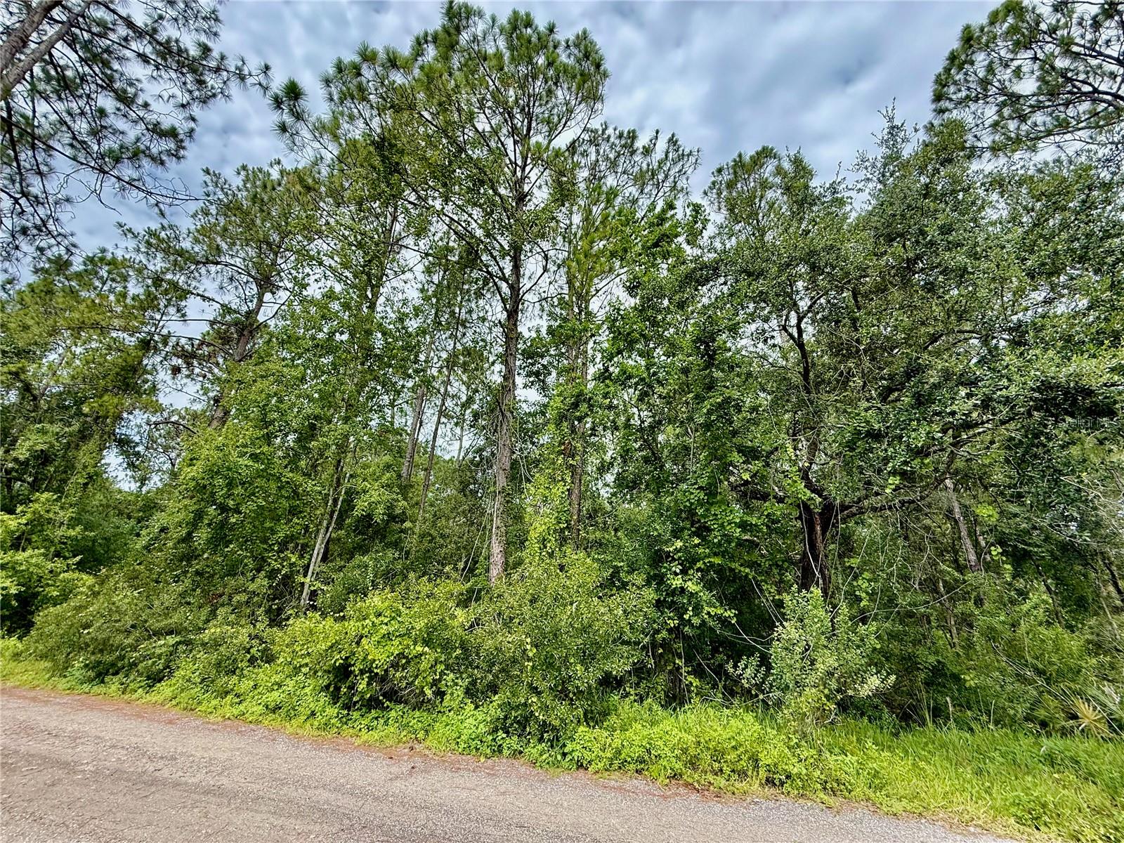 Westpoint Dr #lot#474 Property Photo 1