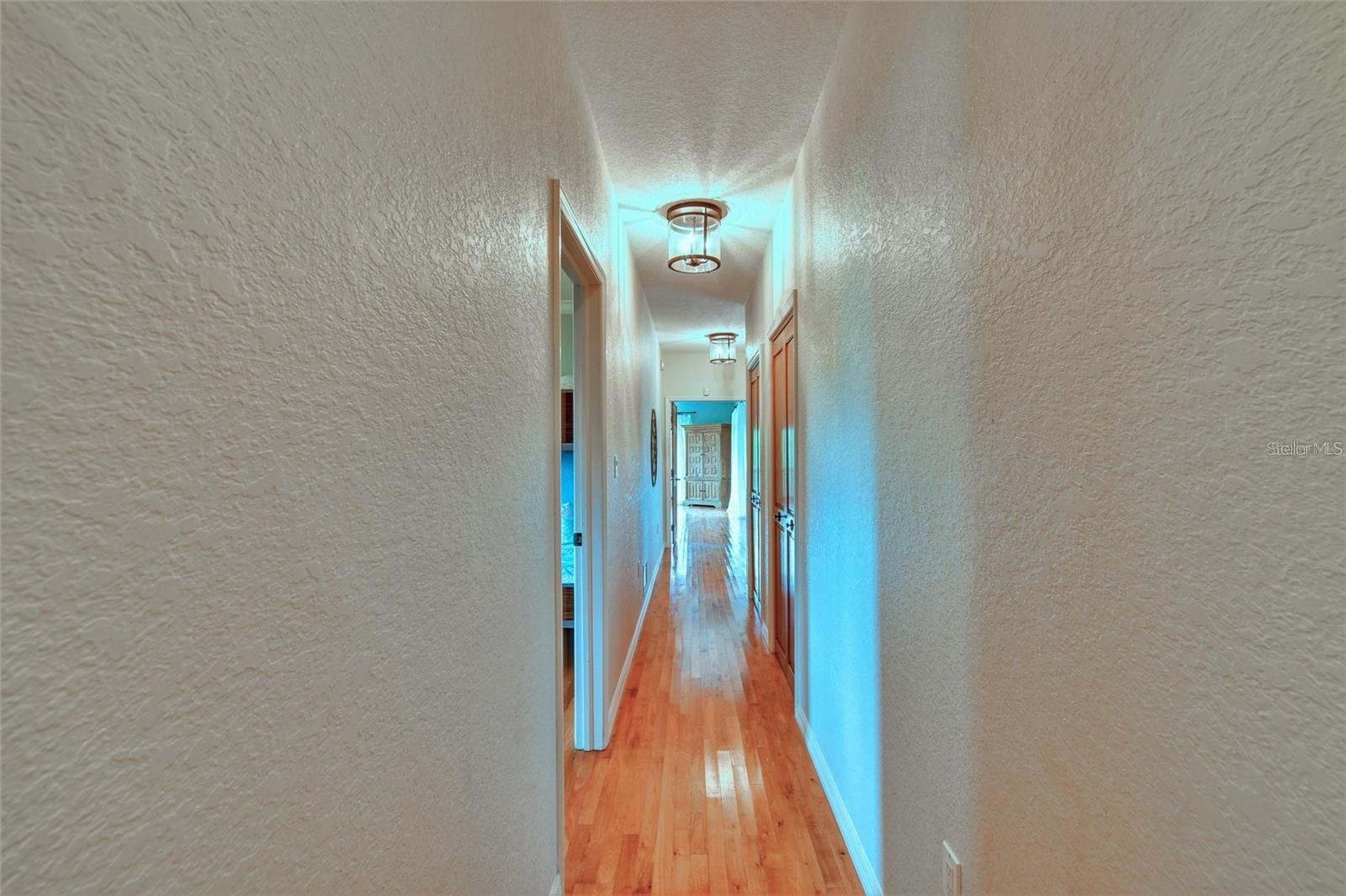 355 Trieste Dr Property Photo 20