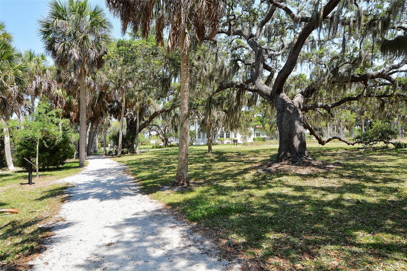 2308 Waterbluff Pl #v304 Property Photo 58