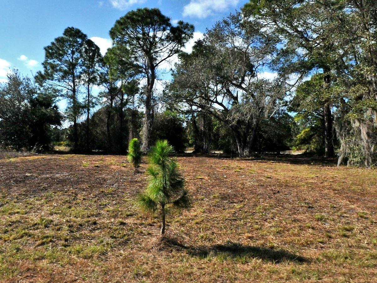 LONGFELLOW LN Property Photo 1
