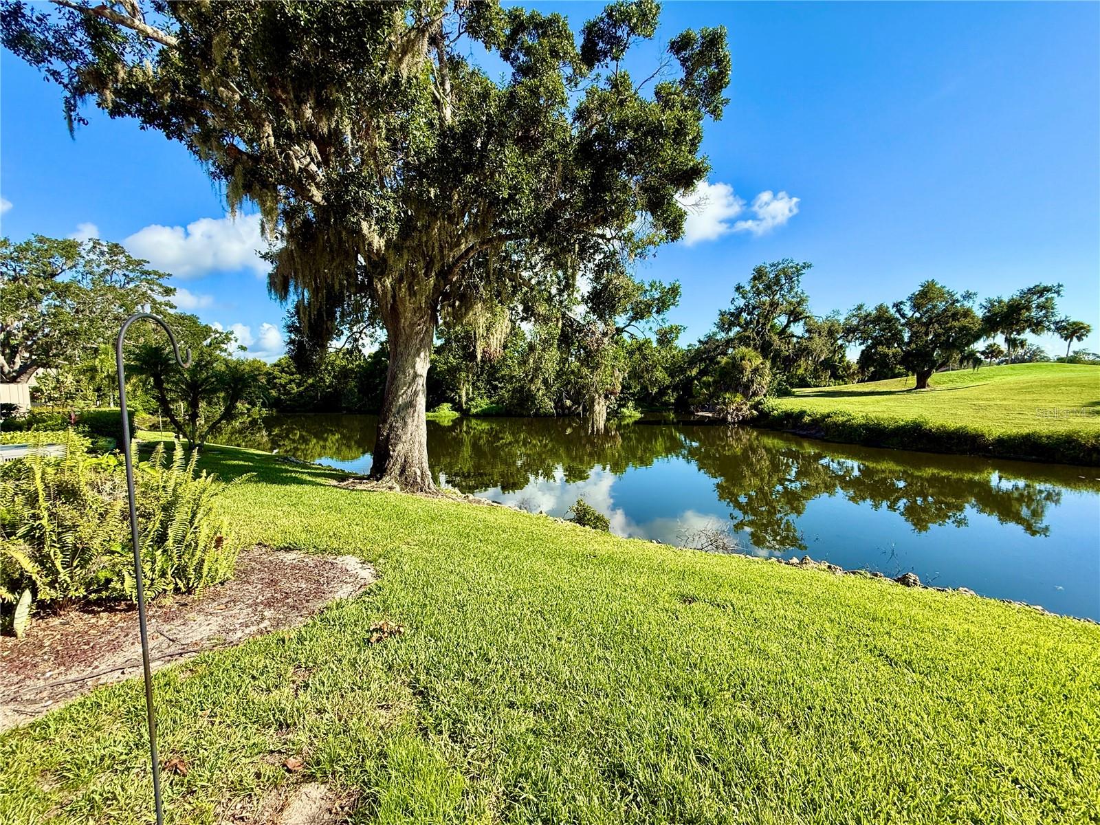 4547 FOREST WOOD TRL #31 Property Photo 1