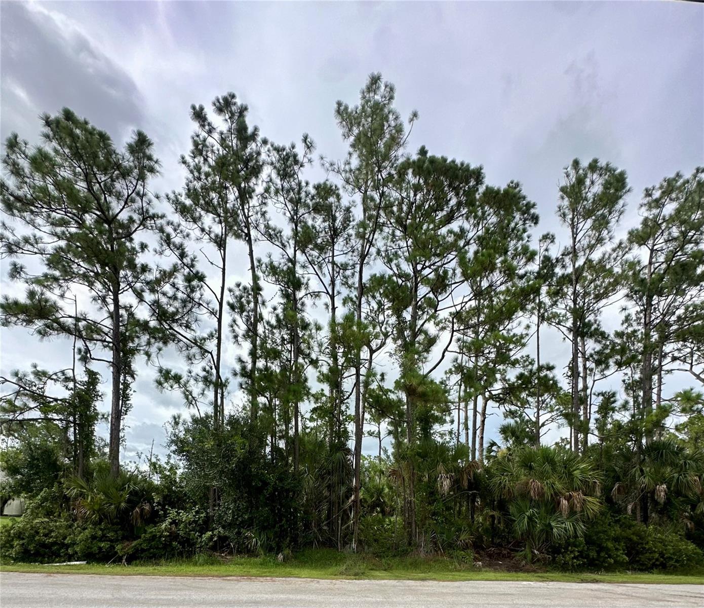 Lot 16 Donatello Ave Property Photo 5