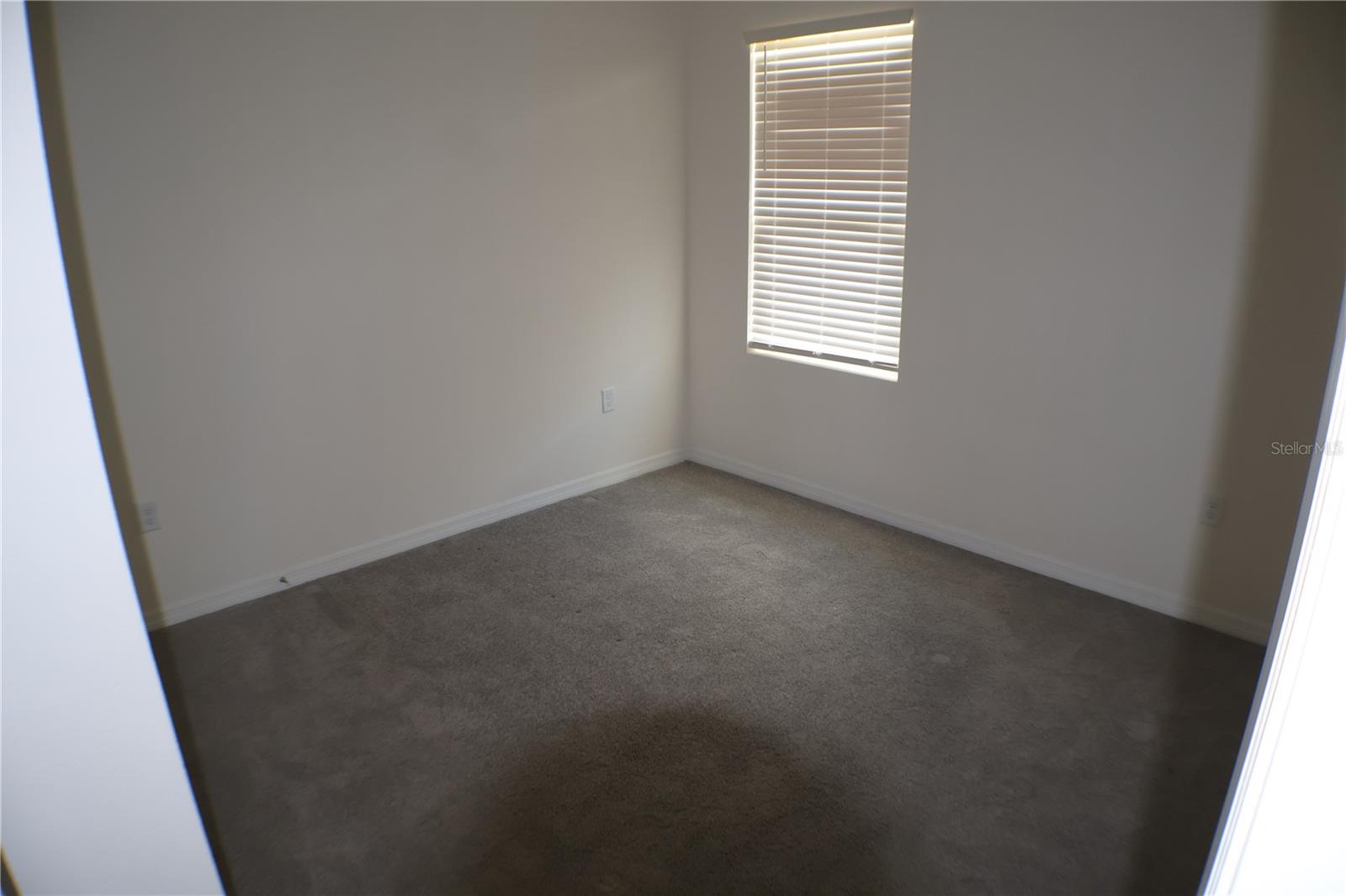 2638 Galway Grove Way Property Photo 18
