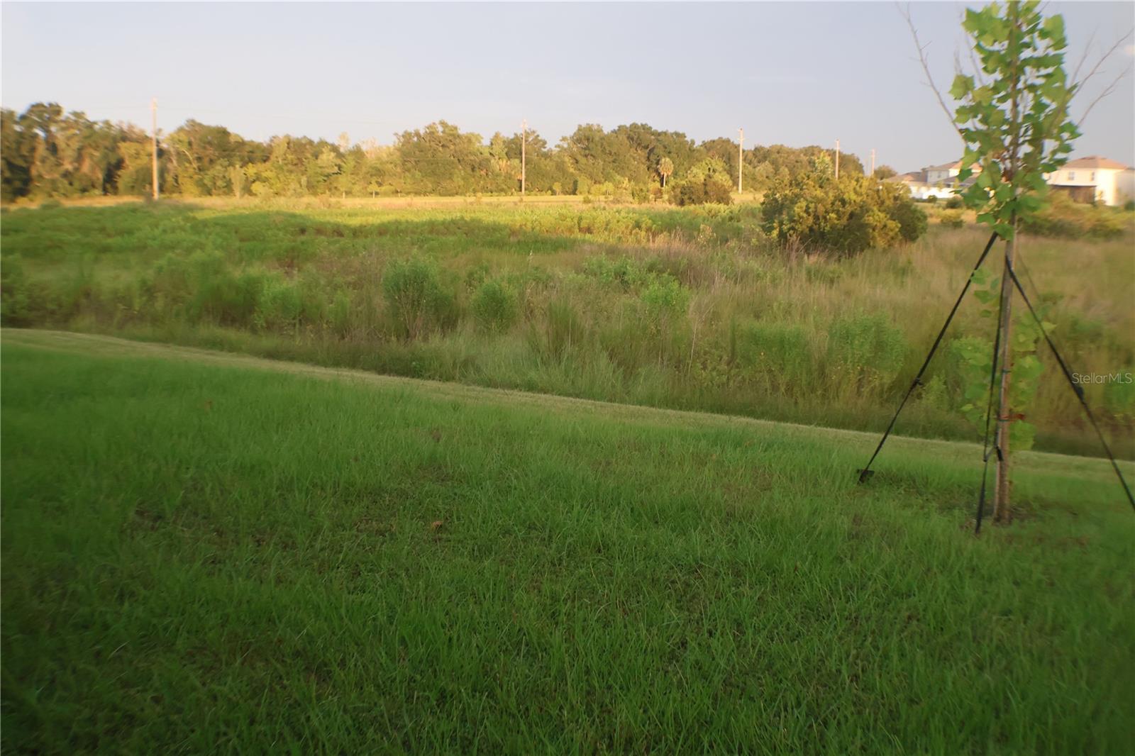 2638 Galway Grove Way Property Photo 28