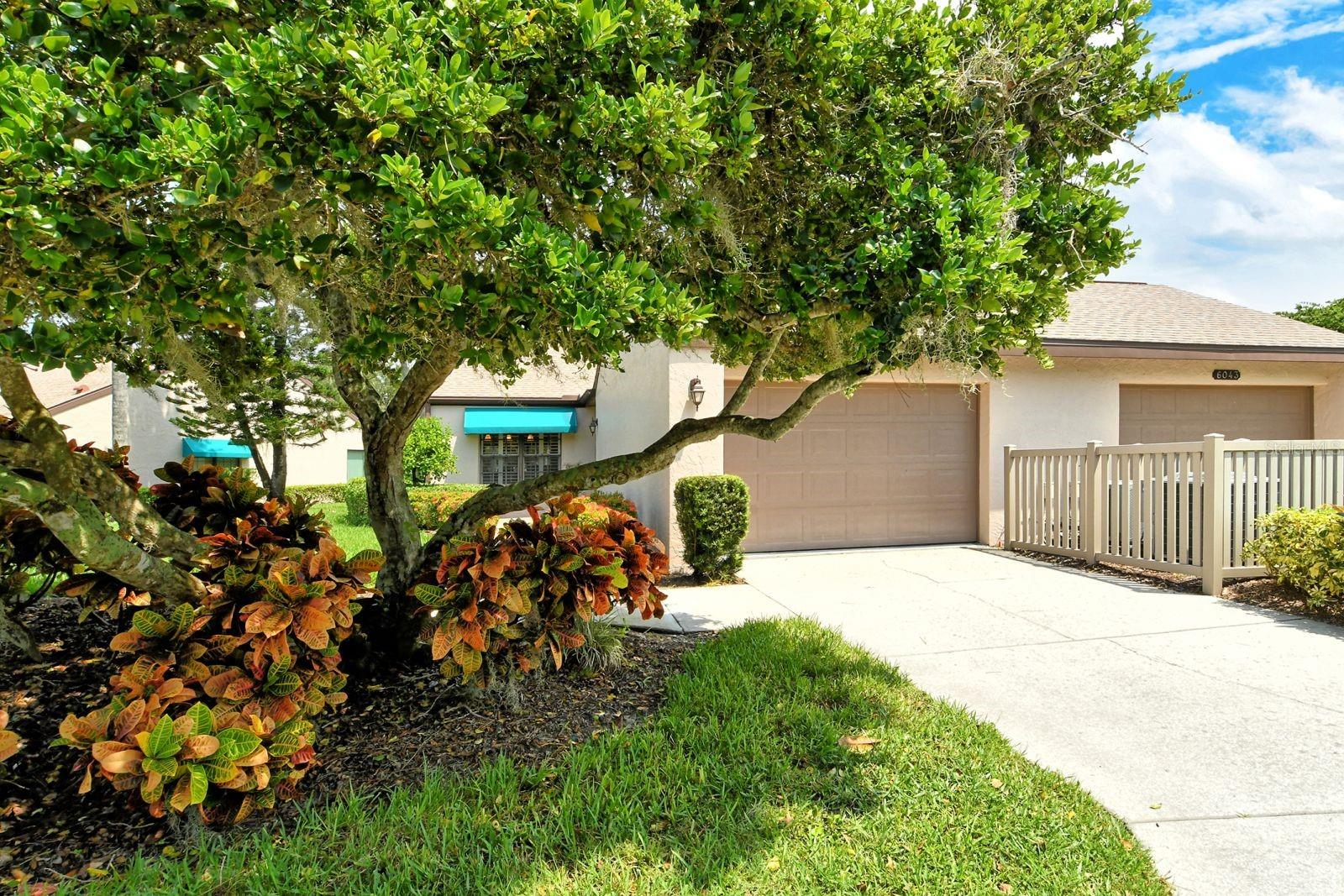 6041 Clubside Dr #6041 Property Photo 2
