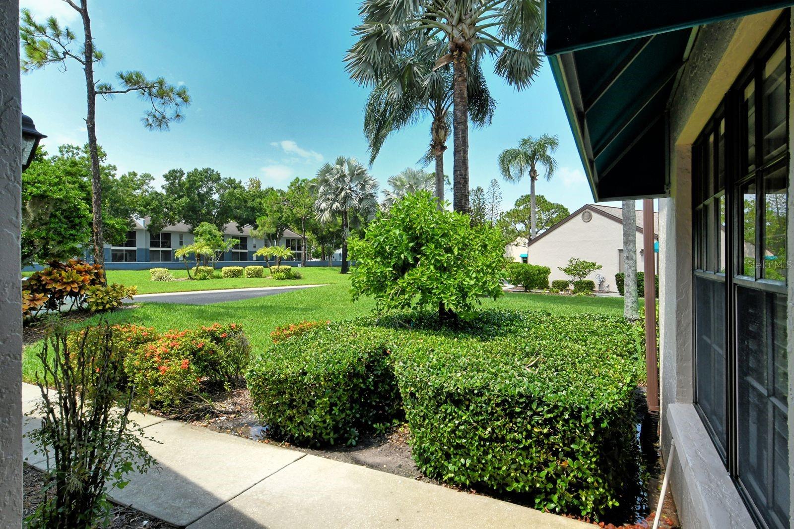 6041 Clubside Dr #6041 Property Photo 6