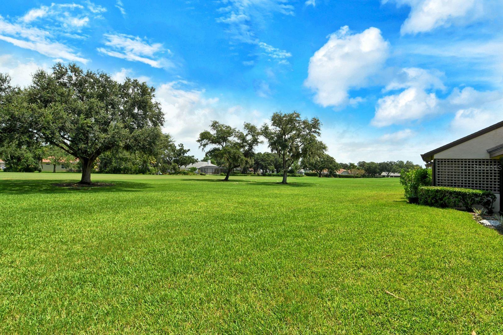 6041 Clubside Dr #6041 Property Photo 41