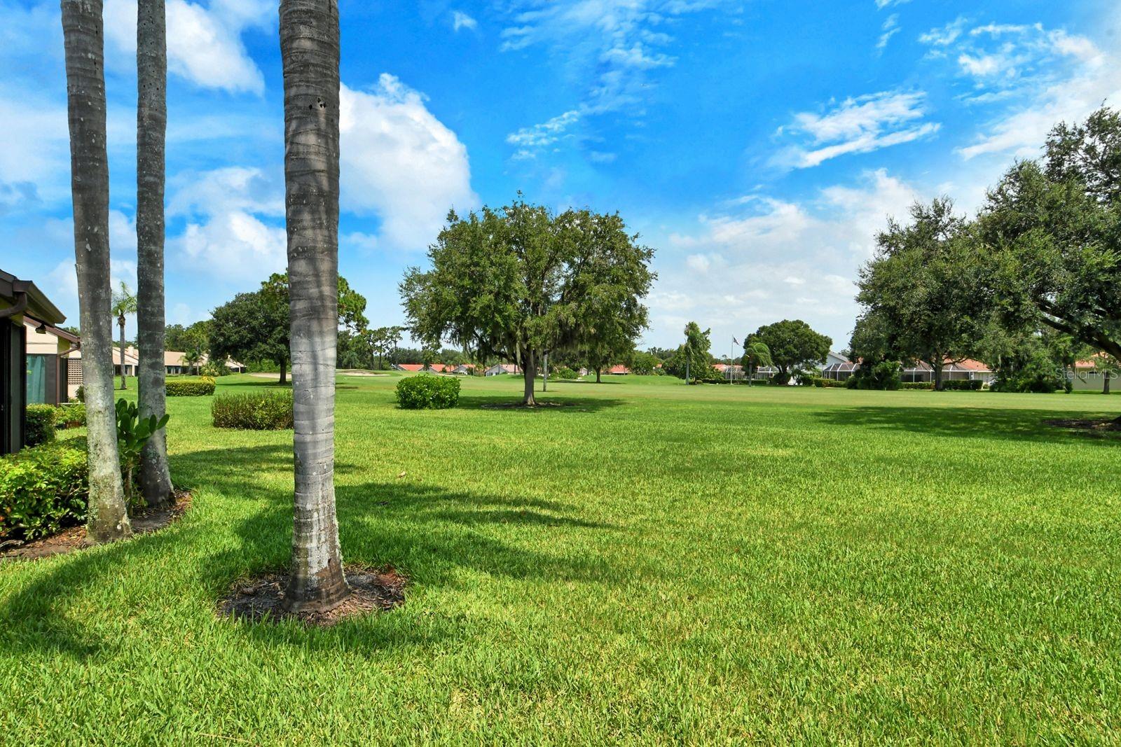 6041 Clubside Dr #6041 Property Photo 43