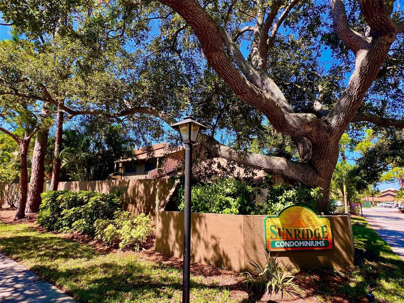 984 Sunridge Dr #j3 Property Photo 28