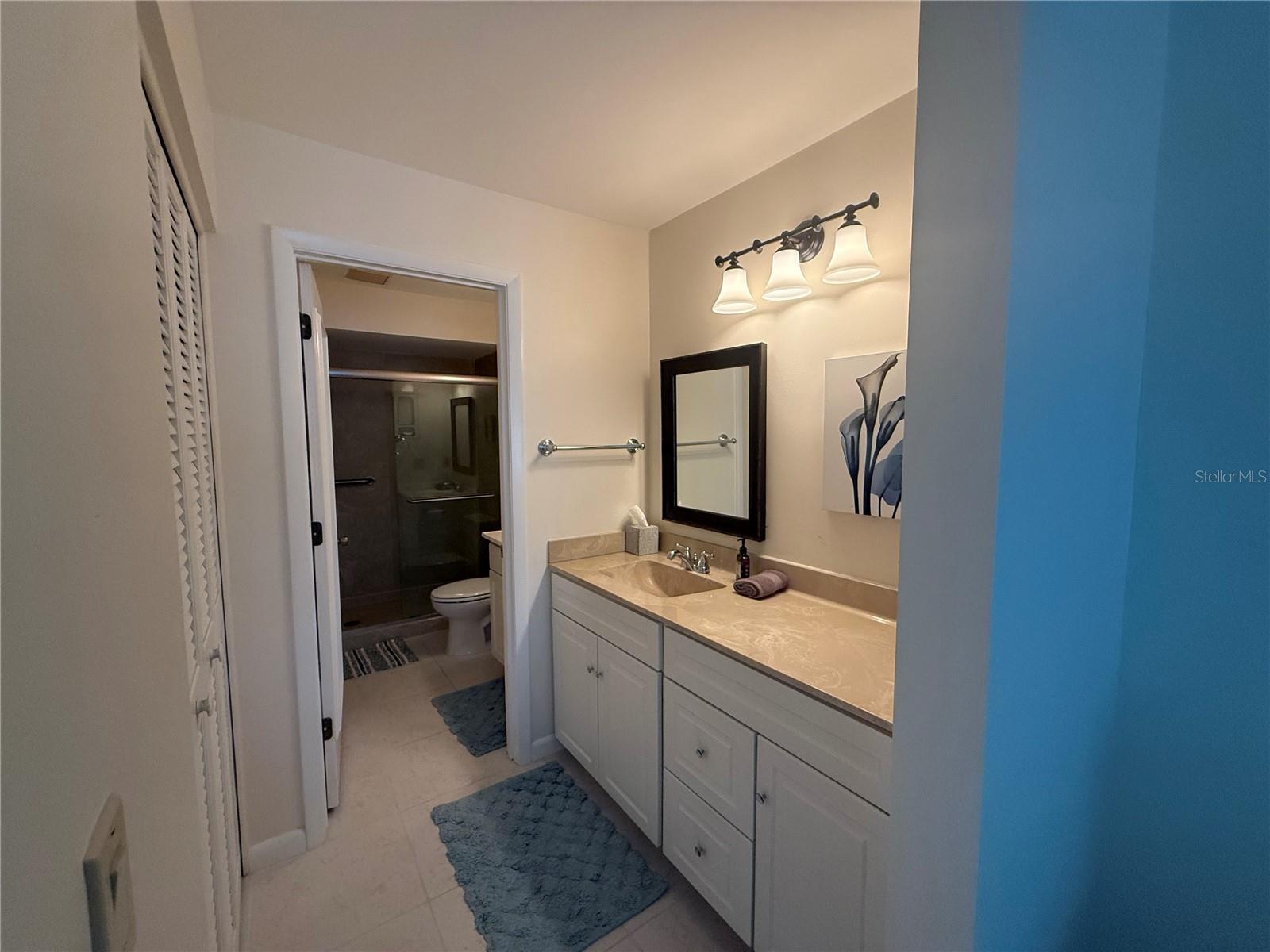 3102 Windrush Bourne #4 Property Photo 14