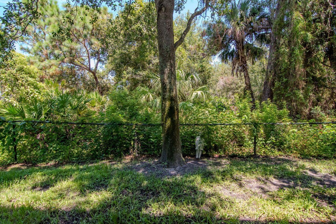 8880 Moonlit Meadows Loop Property Photo 37